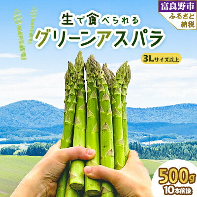 【ふるさと納税】【先行予約】「生」で食べられる グリーンアスパラ　極太3L以上 500g(10本前後) 【配..