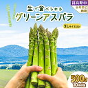 【ふるさと納税】【先行予約】「生」で食べられる グリーンアスパラ　極太3L以上 500g(10本前後) 【配送不可地域：離島】【1400427】