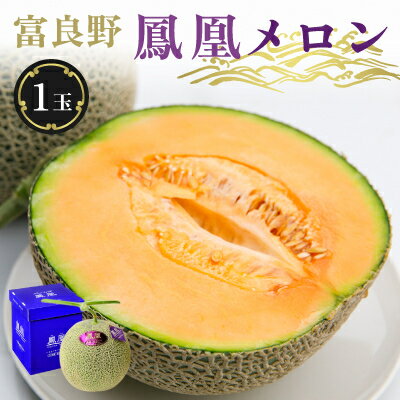【ふるさと納税】糖度15度 富良野鳳凰メロン(赤肉) 1玉 1.8~2kg(2Lサイズ)_メロン めろん 富良野メロン 富良野めろん 北海道 富良野市 果物 フルーツ くだもの ふるーつ 青果 果実 甘い 旬 専門店 希少 品種 ギフト 贈答 鳳凰 糖度 定番 プレゼント 【1403745】
