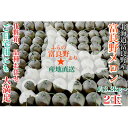 【ふるさと納税】富良野メロン(赤肉)化粧箱と品種お任せ約1.6kg〜2玉入【1405315】