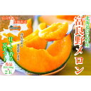 【ふるさと納税】富良野メロン(赤肉)夏ギフト秀品2玉 1.8kg/2玉入_ メロン 富良野メロン 赤肉 フルーツ 果物 くだもの ふるーつ 青果 ギフト 贈答 ...