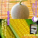 【ふるさと納税】「贅沢セットC」北海道富良野産赤肉メロン 1玉/とうもろこし4本詰め合わせ_ メロン 富良野メロン とうもろこし コーン 赤肉 フルーツ 果物 ...