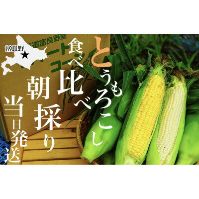 【ふるさと納税】旬の選りすぐり北海道富良野産「贅沢セットD」赤肉メロン2玉、ホワイト/イエローコーン各4本入【配送不可地域：離島】【1405520】