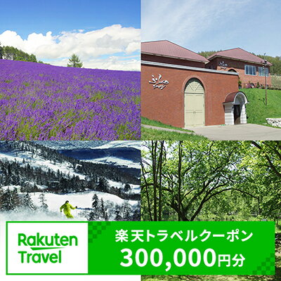 2位! 口コミ数「0件」評価「0」北海道富良野市の対象施設で使える楽天トラベルクーポン寄付額1,000,000円