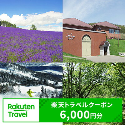 【ふるさと納税】北海道富良野市の対象施設で使える楽天トラベルクーポン寄付額20,000円