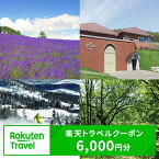 【ふるさと納税】北海道富良野市の対象施設で使える楽天トラベルクーポン寄付額20,000円