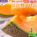 【ふるさと納税】富良野メロン 赤肉 4kg (2〜4玉入り)【1426363】