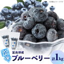 【ふるさと納税】2025年富良野産 大粒 冷凍ブルーベリー 500g×2袋_ ブルーベリー 大粒 果物 フルーツ くだもの 冷凍 富良野 北海道 人気 おすすめ 送料無料 贈答 ギフト お取り寄せ 500g セット スムージー ジャム 【配送不可地域:離島】【1437489】