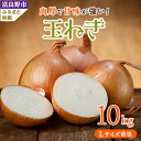 【ふるさと納税】北海道富良野産 玉ねぎ Lサイズ前後 10kg【1441749】