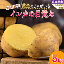 【ふるさと納税】【2025年先行予約】黄金のジャガイモ インカの目覚め 5kg 北海道 富良野産【1450174】