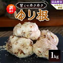 【ふるさと納税】北海道 富良野産 百合根(ゆりね) 1kg 訳あり【1460022】