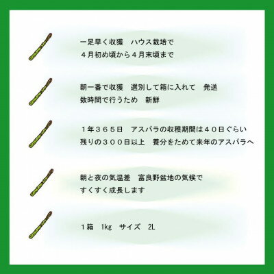 【ふるさと納税】【先行予約】【数量・期間】ふらの産　グリーンアスパラ　ハウス栽培　1kgサイズ2L【配送不可地域：離島】【1470143】