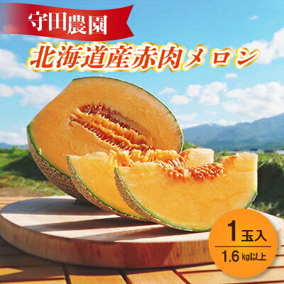 【令和5年7月下旬より発送予定】北海道産赤肉メロン 1玉入り　1.6kg以上【1471805】