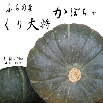 [数量・期間]ふらの産 かぼちゃ 1箱10kg(くり大将)