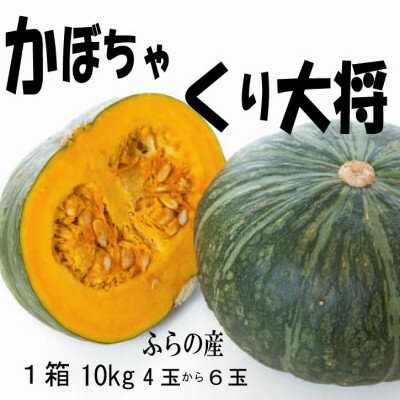 【ふるさと納税】【数量・期間】ふらの産　かぼちゃ　1箱10kg(くり大将)【1473419】