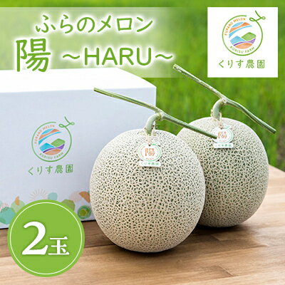 【2024年発送】ふらのメロン「陽 ～HARU～」大玉(2.3kg以上)×2玉　(赤肉)【1478650】