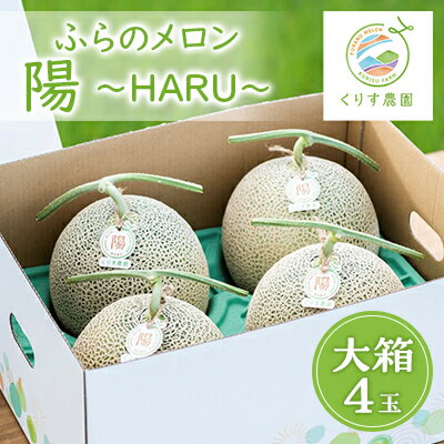 [先行予約]ふらのメロン「陽 〜HARU〜」大箱 8kg以上(大玉×4玉)(赤肉) 富良野メロン