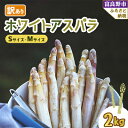 【ふるさと納税】2026年先行予約 北海道富良野産 訳あり ホワイトアスパラ 2kg【配送不可地域:離島】【1483408】
