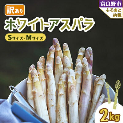 北海道富良野産 訳あり ホワイトアスパラ 2kg【配送不可地域：離島】【1483408】