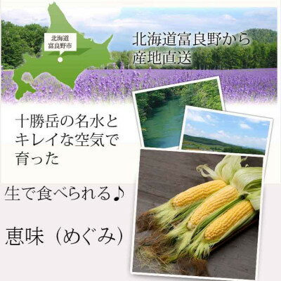 【ふるさと納税】生で食べられるトウモロコシ　訳あり　恵味(めぐみ)　20本入り【配送不可地域：離島】【1483447】