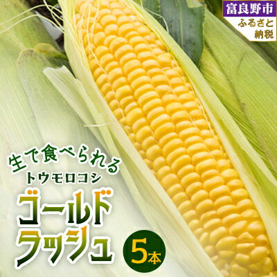 【ふるさと納税】生で食べられるトウモウロコシ　ゴールドラッシュ 5本入り【配送不可地域：離島】【1483617】