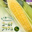 【ふるさと納税】生で食べられるトウモウロコシ　ゴールドラッシュ 5本入り【配送不可地域：離島】【1483617】