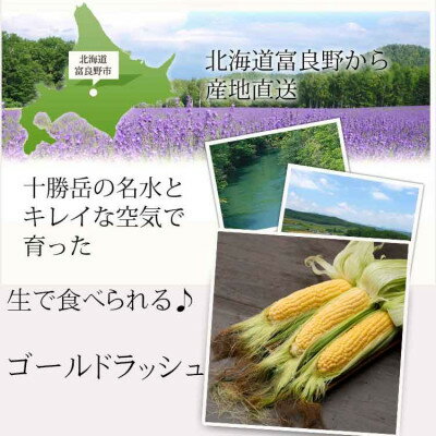 【ふるさと納税】生で食べられるトウモウロコシ　ゴールドラッシュ 5本入り【配送不可地域：離島】【1483617】