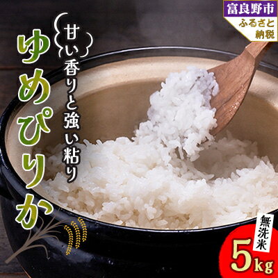 【ふるさと納税】北海道富良野産 ゆめぴりか 無洗米 5kg【