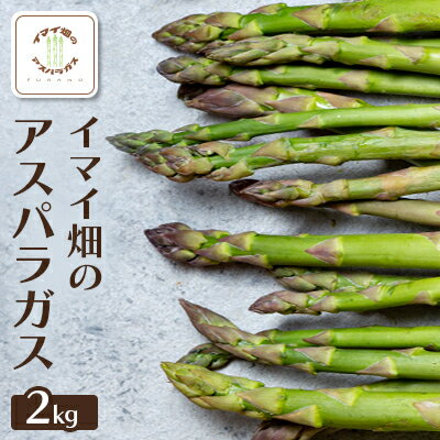 イマイ畑のアスパラガス 2kg【1487751】