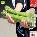 【ふるさと納税】2026年先行予約 「生」で食べられる!北海道富良野産 グリーンアスパラ 3kg(極太2Lサイズ)【配送不可地域:離島】【1499805】