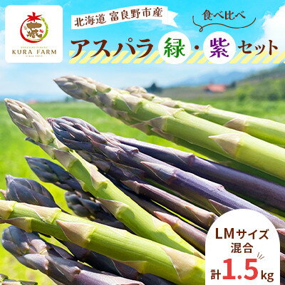 【ふるさと納税】北海道 富良野市産 アスパラ 緑・紫(LMサイズ混合 計1.5kg) セット 食べ比べ〈藏ファ...