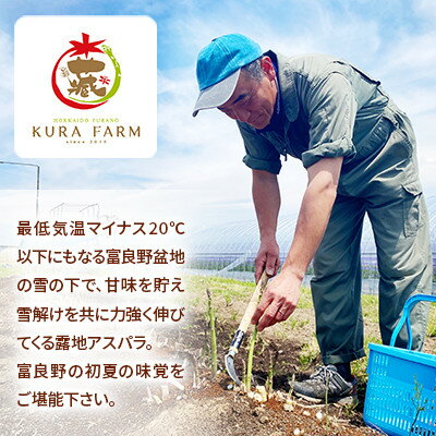 【ふるさと納税】北海道 富良野市産 アスパラ 緑・紫(LMサイズ混合 計2kg) セット 食べ比べ〈藏ファーム〉【配送不可地域：離島】【1505726】