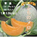【ふるさと納税】ふらのメロン赤肉 1箱2玉入り3.2kg以上【1509427】