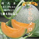 【ふるさと納税】ふらのメロン 赤肉 大玉 1玉2.25kg以上 1箱2玉入り(計4.5kg以上)_ メロン めろん 富良野メロン 赤肉 大玉 フルーツ くだもの...