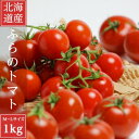 【ふるさと納税】【2025年発送】北海道 完熟 富良野トマト (ミニトマト) 1kg詰め【配送不可地域:離島】【1522220】