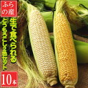 【ふるさと納税】【先行予約2025年発送】北海道富良野産生で食べられる 白いトウモロコシと黄色いトウモロコシ10本【配送不可地域:離島】【1538399】