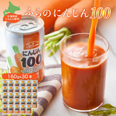 【毎月定期便】【北海道産にんじん使用】ふらの にんじん100 160g×30本入 全3回【4007270】