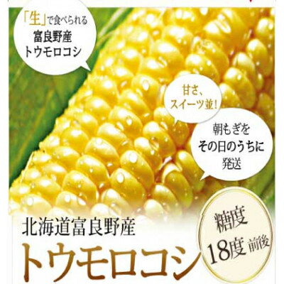 【ふるさと納税】【発送月固定定期便】「生」で食べられる!北海道富良野産 トウモロコシ 恵味(めぐみ)10本入り全2回【配送不可地域：離島】【4008508】