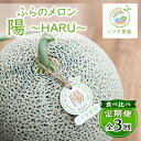 【ふるさと納税】【発送月固定定期便】食べ比べ!ふらのメロン「陽 〜HARU〜」大玉 1玉(赤肉) 富良野メロン全3回_ 定期便 メロン 果物 くだもの フルーツ...