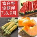 【ふるさと納税】【発送月固定定期便】富良野産 スイカ・メロン・トウモロコシ全3回_ スイカ すいか めろん メロン トウモロコシ とうもろこし 定期便 定期 北...