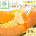 【ふるさと納税】ふらの産 しあわせのメロン(赤肉×4〜5玉 計約8kg)_ メロン めろん 赤肉メロン 富良野メロン 富良野産 ふらの 北海道 国産 甘い 濃厚...