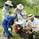 【ふるさと納税】『ビーキーパー養蜂体験』1名様分【もっと富良野が好きになる!地元体験プログラム/ウレシパ・フラノ】【1256384】