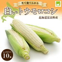 【ふるさと納税】2024年発送【北海道富良野産】生で食べられる 白い トウモロコシ ピュアホワイト 10本入り _ とうもろこし コーン 野菜 人気 ランキング 送料無料 ふらの 糖度最大18度以上 【配送不可地域：離島】【1275562】