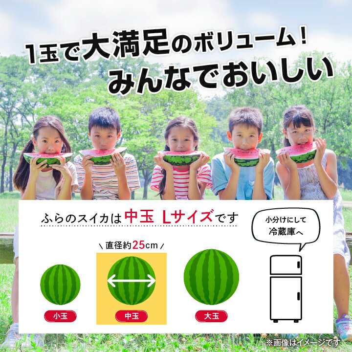 北海道富良野市の画像3