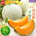 【ふるさと納税】【発送月固定定期便】富良野メロン 秀品 赤肉約2.5kg×1玉 全2回【4009268】