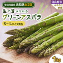 【ふるさと納税】【発送月固定定期便】「生」で食べられる!グリーンアスパラ 1kg(SからLサイズ混合) 全2回【配送不可地域:離島】【4008506】