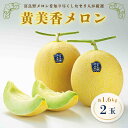 【ふるさと納税】黄美香メロン(青肉)1.6kg×2玉_ メロン めろん 富良野メロン 青肉メロン 富良野 ふらの 北海道 黄美香 さわやか 青肉 希少 2玉 フ...