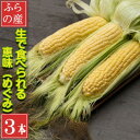 【ふるさと納税】「生」で食べられるトウモロコシ 恵味 3本入り【配送不可地域:離島】【1532711】