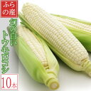 【ふるさと納税】早採りハウス栽培 北海道富良野産 生で食べられる白いトウモロコシ 10本入り【配送不可地域:離島】【1547474】