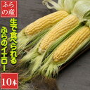 【ふるさと納税】「生」で食べられる!北海道富良野産 トウモロコシ ふらのイエロー 10本入り【配送不可地域:離島】【1561818】